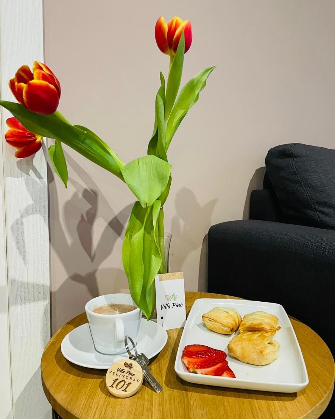Villa Pino Velingrad Bagian luar foto