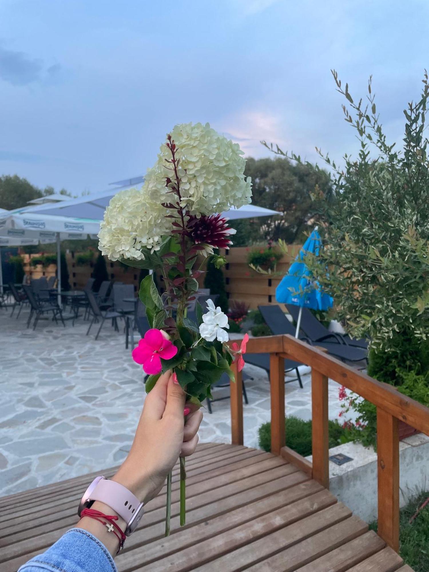 Villa Pino Velingrad Bagian luar foto