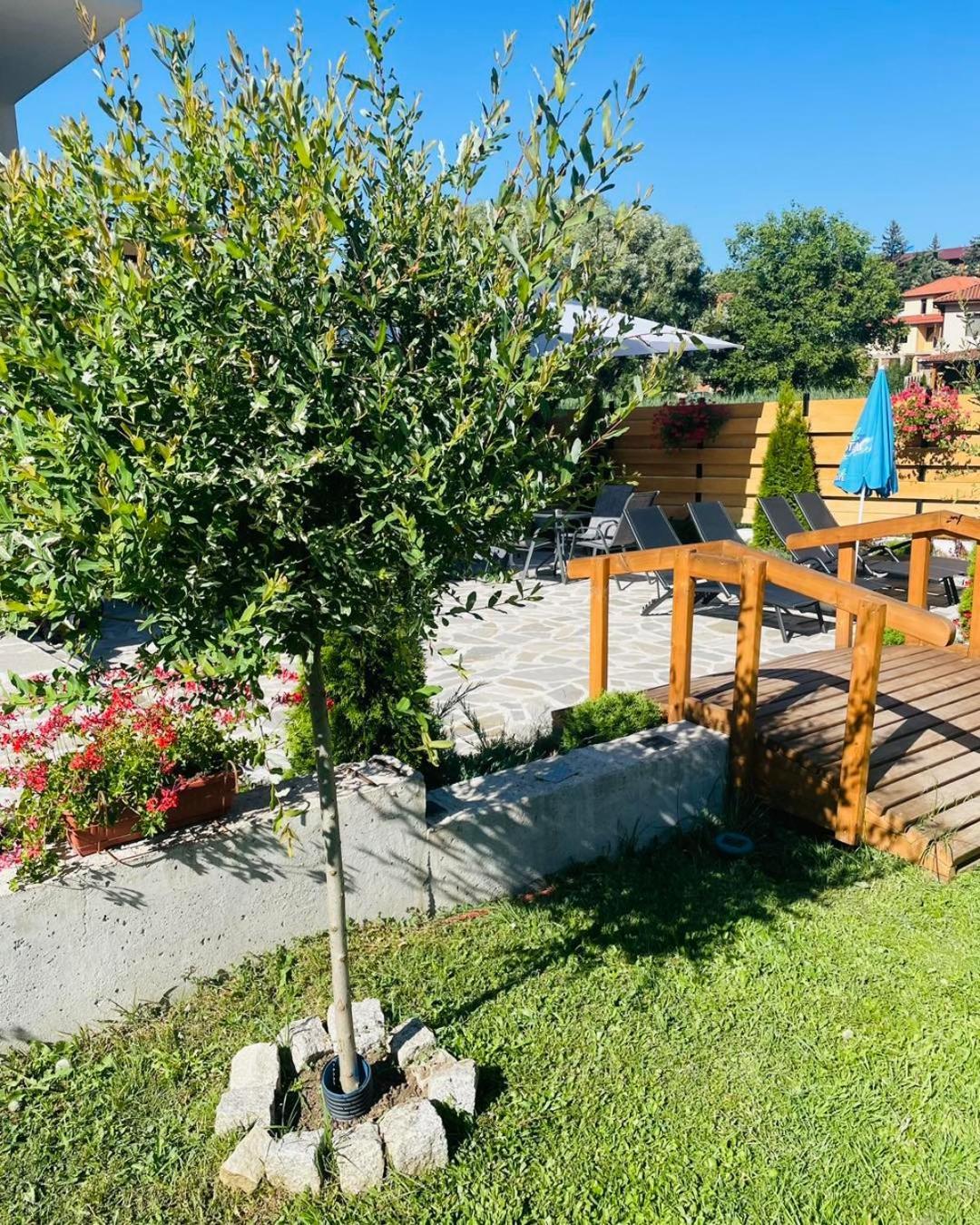 Villa Pino Velingrad Bagian luar foto